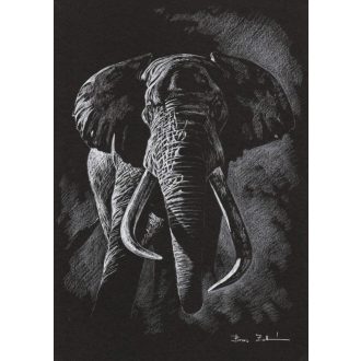   BOROS ZOLTÁN MŰVÉSZI NYOMATOK / NAGY ELEFÁNT KRÉTARAJZ (giclée nyomat)