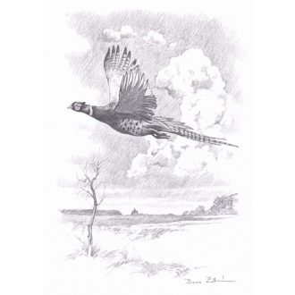   BOROS ZOLTÁN MŰVÉSZI NYOMATOK / FÁCÁN CERUZARAJZ (giclée nyomat)
