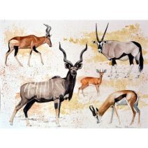 Boros Zoltán Giclée – Művészi nyomatok